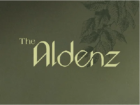 Exsim The Aldenz